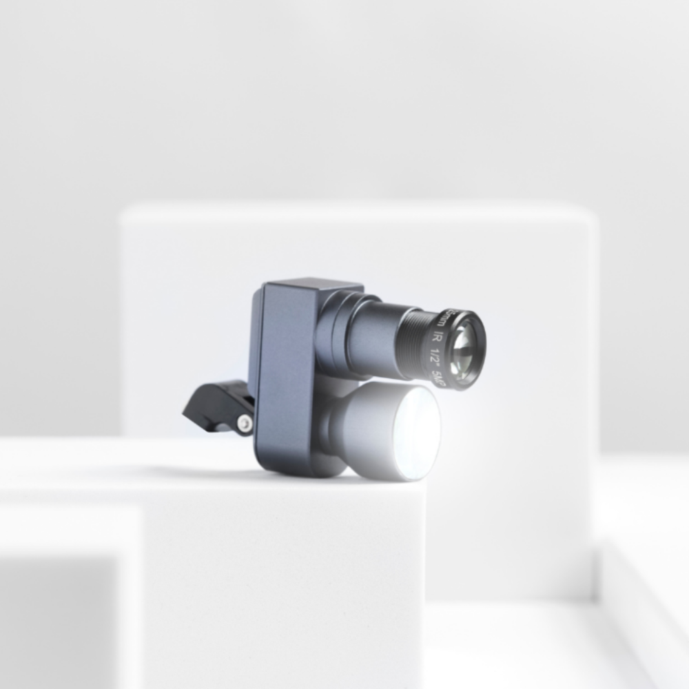 Câmara Flamingo da Víttrea