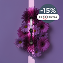 Compósito Aster + da Kiyomi Dental