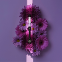 Composite Aster + de Kiyomi Dental