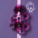 Composite Aster + de Kiyomi Dental